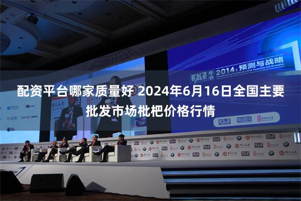   配资平台哪家质量好 2024年6月16日全国主要批发市场枇杷价格行情