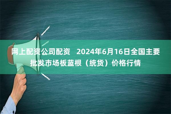   网上配资公司配资   2024年6月16日全国主要批发市场板蓝根（统货）价格行情