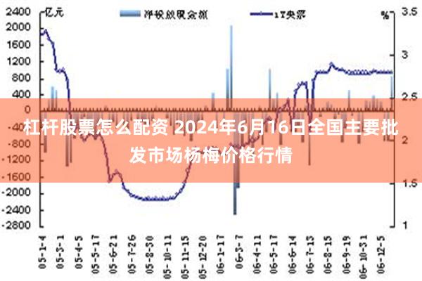   杠杆股票怎么配资 2024年6月16日全国主要批发市场杨梅价格行情