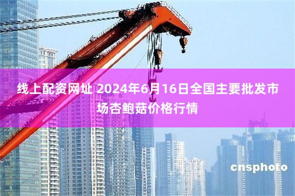   线上配资网址 2024年6月16日全国主要批发市场杏鲍菇价格行情