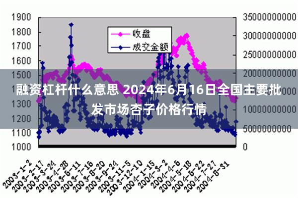   融资杠杆什么意思 2024年6月16日全国主要批发市场杏子价格行情