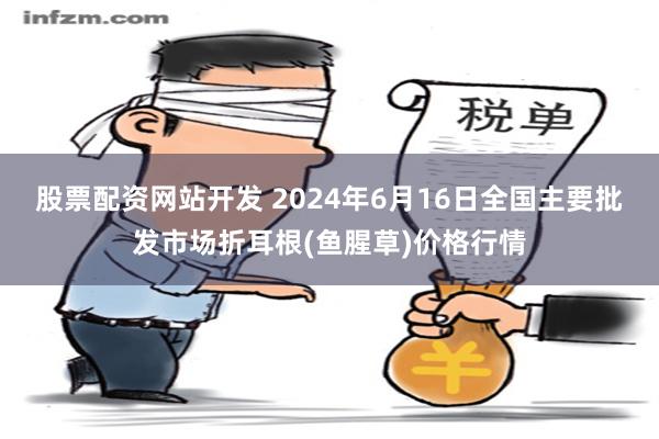 股票配资网站开发 2024年6月16日全国主要批发市场折耳根(鱼腥草)价格行情