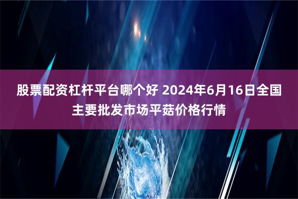   股票配资杠杆平台哪个好 2024年6月16日全国主要批发市场平菇价格行情