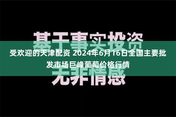   受欢迎的天津配资 2024年6月16日全国主要批发市场巨峰葡萄价格行情