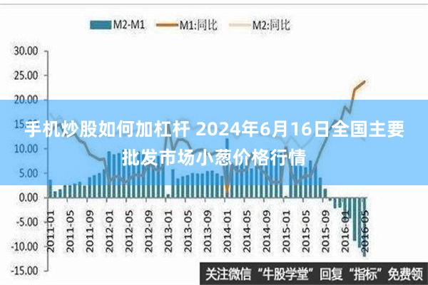   手机炒股如何加杠杆 2024年6月16日全国主要批发市场小葱价格行情