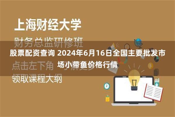   股票配资查询 2024年6月16日全国主要批发市场小带鱼价格行情