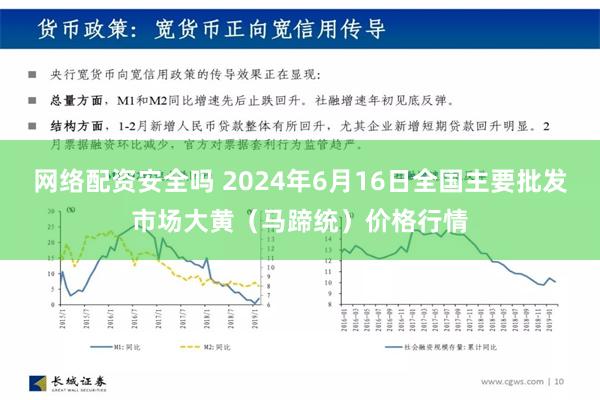 网络配资安全吗 2024年6月16日全国主要批发市场大黄（马蹄统）价格行情