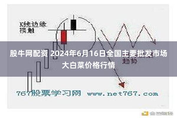   股牛网配资 2024年6月16日全国主要批发市场大白菜价格行情