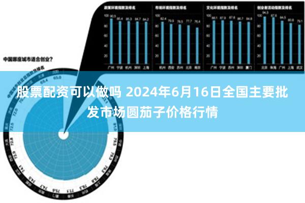   股票配资可以做吗 2024年6月16日全国主要批发市场圆茄子价格行情