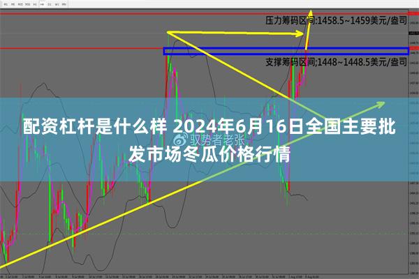   配资杠杆是什么样 2024年6月16日全国主要批发市场冬瓜价格行情