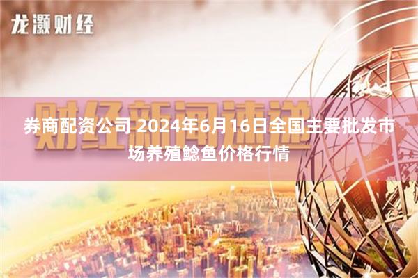   券商配资公司 2024年6月16日全国主要批发市场养殖鲶鱼价格行情