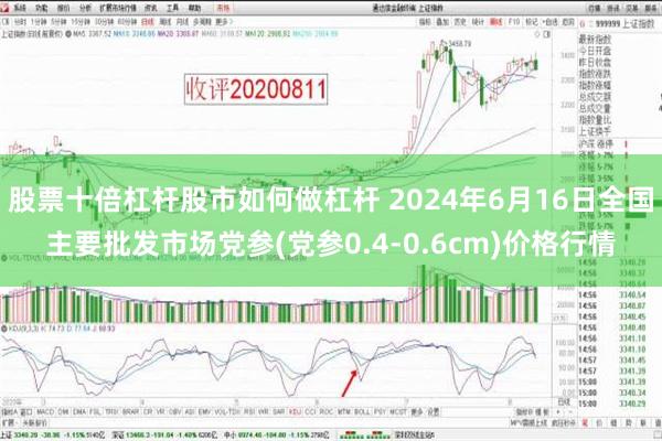   股票十倍杠杆股市如何做杠杆 2024年6月16日全国主要批发市场党参(党参0.4-0.6cm)价格行情