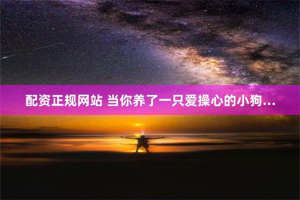   配资正规网站 当你养了一只爱操心的小狗...