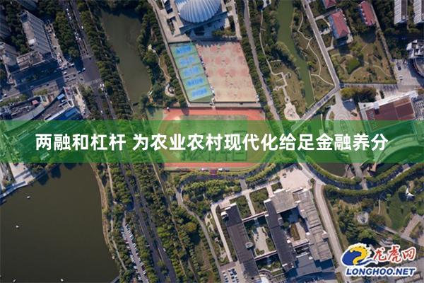   两融和杠杆 为农业农村现代化给足金融养分