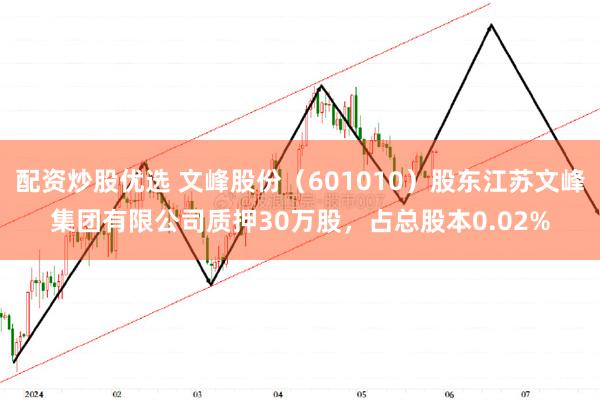   配资炒股优选 文峰股份（601010）股东江苏文峰集团有限公司质押30万股，占总股本0.02%