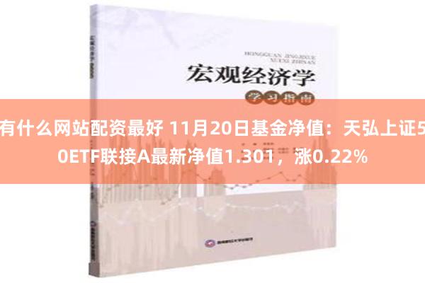 有什么网站配资最好 11月20日基金净值：天弘上证50ETF联接A最新净值1.301，涨0.22%