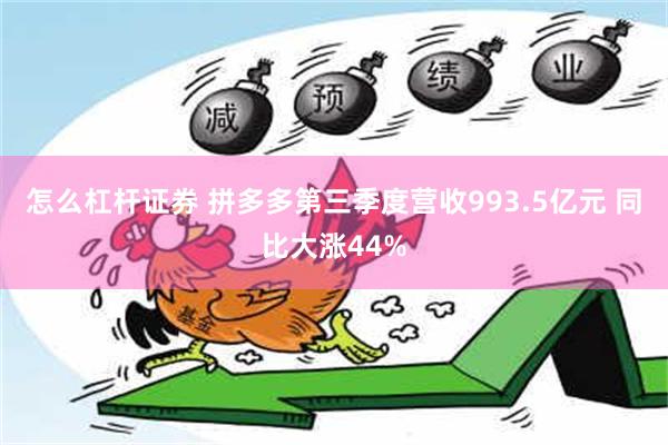 怎么杠杆证券 拼多多第三季度营收993.5亿元 同比大涨44