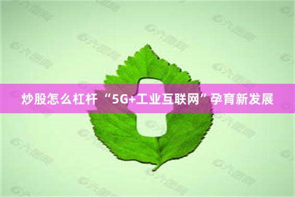 炒股怎么杠杆 “5G+工业互联网”孕育新发展